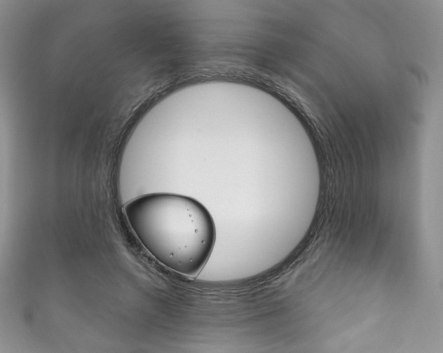 X0000111160546200906301100