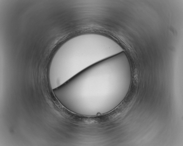 X0000111160547200906301100