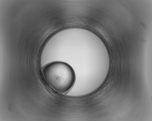 X0000111160548200906301100