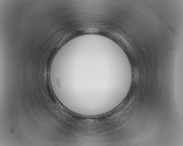 X0000111160549200906301100