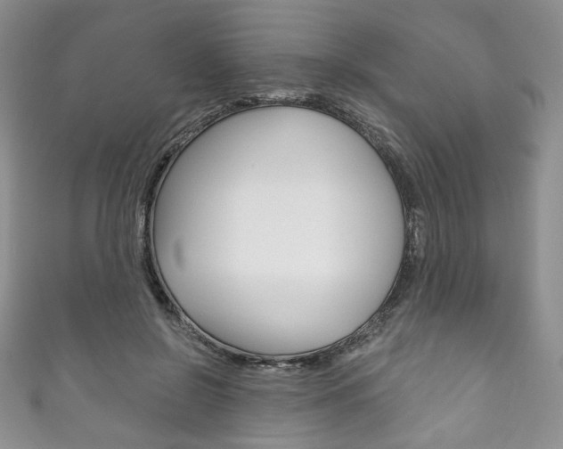 X0000111160550200906301100