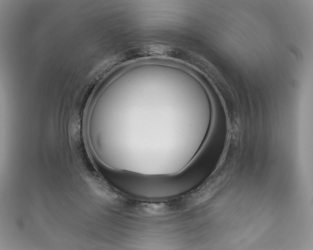 X0000111160552200906301100