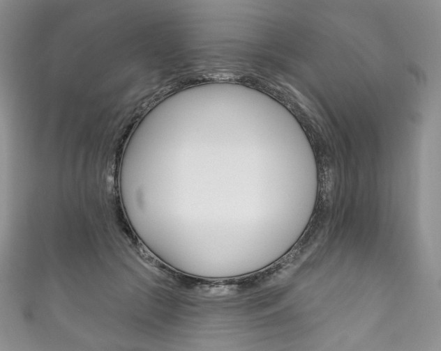 X0000111160553200906301100
