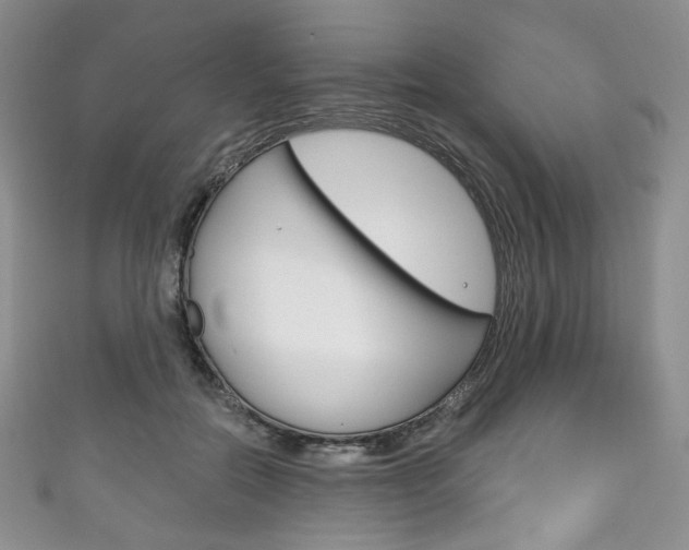 X0000111160554200906301100