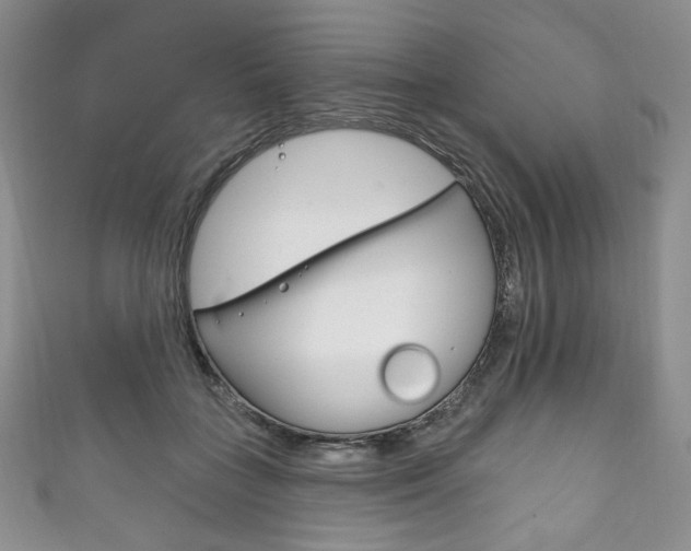 X0000111160555200906301100