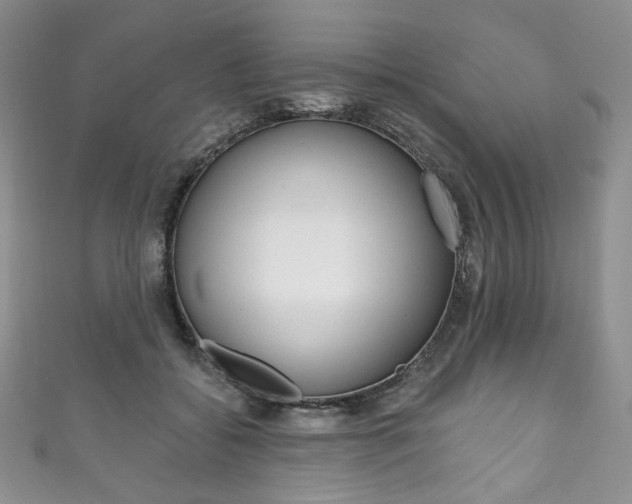 X0000111160556200906301100