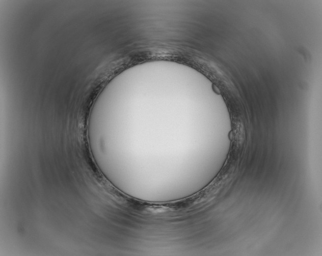 X0000111160557200906301100