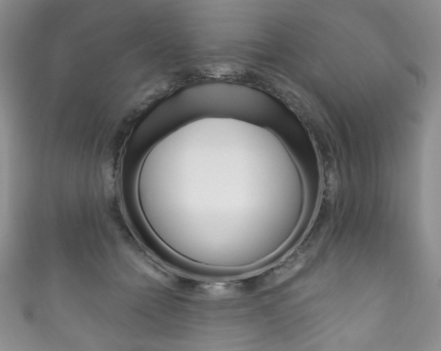 X0000111160558200906301100