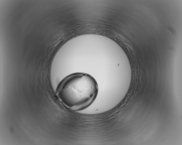 X0000111160560200906301100
