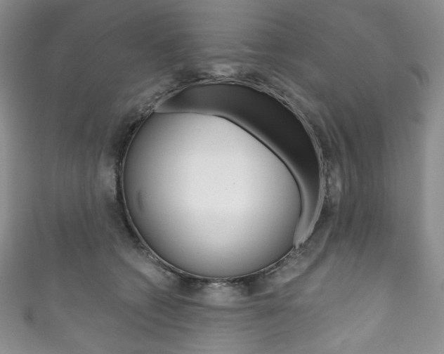 X0000111160562200906301100
