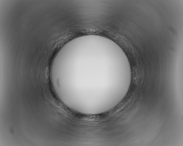X0000111160563200906301100