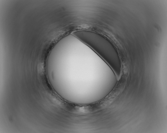 X0000111160564200906301100