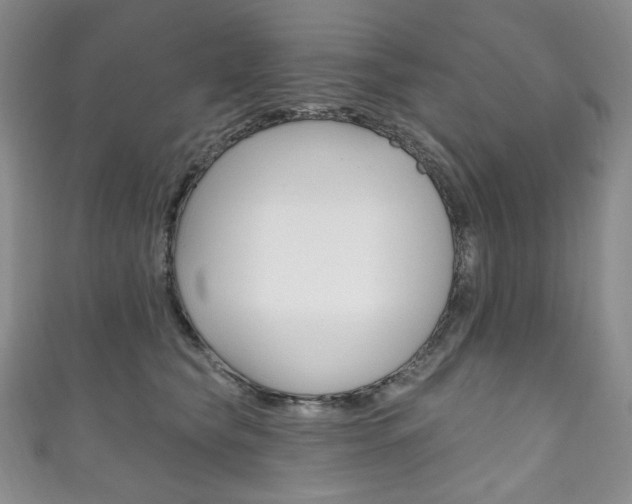 X0000111160565200906301100