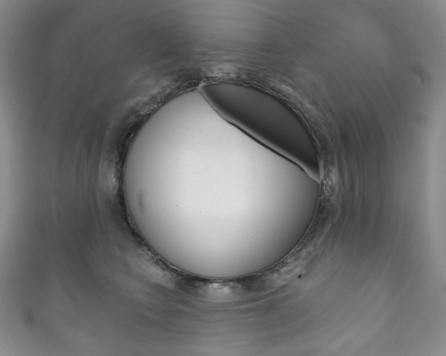 X0000111160566200906301100