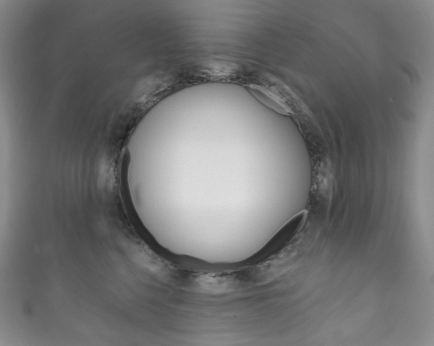 X0000111160568200906301100