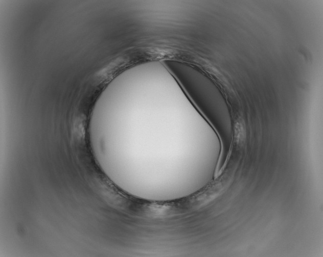 X0000111160570200906301100
