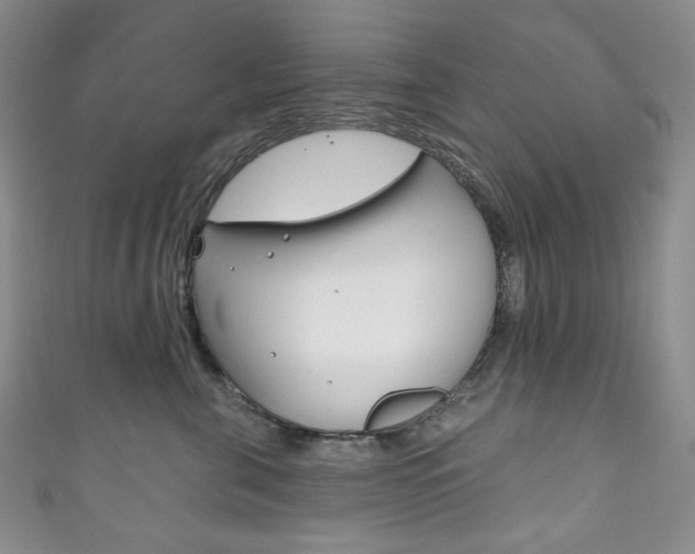 X0000111160571200906301100