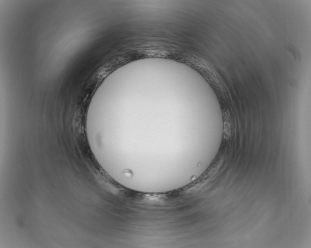 X0000111160573200906301100