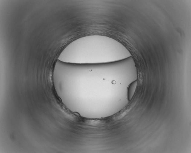 X0000111160575200906301100