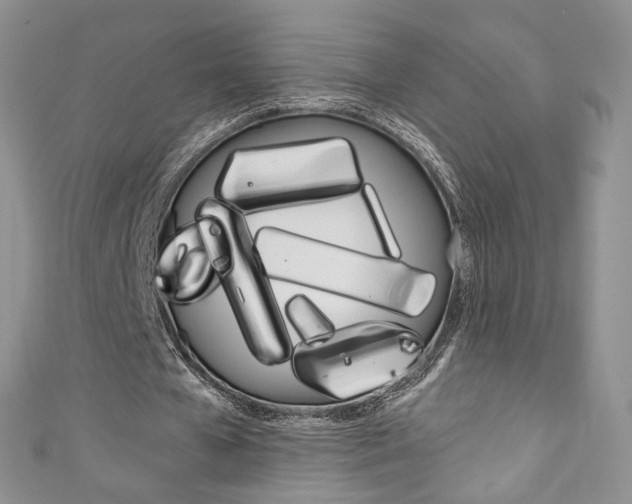 X0000111160577200906301100