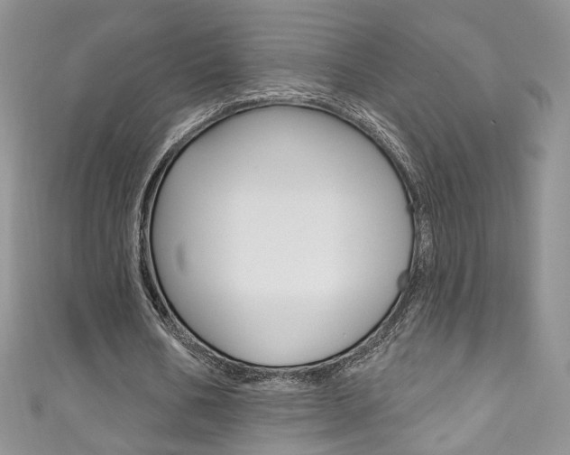 X0000111160578200906301100