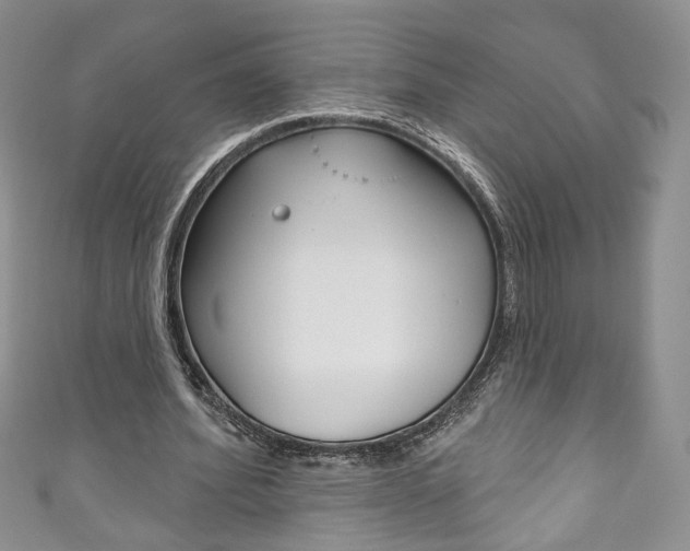 X0000111160580200906301100