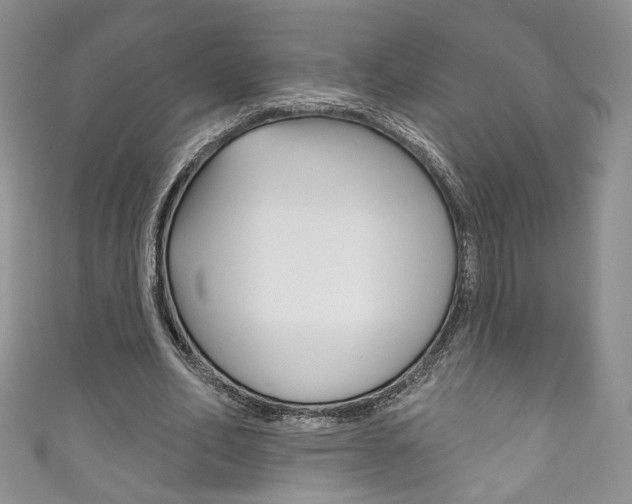 X0000111160582200906301100