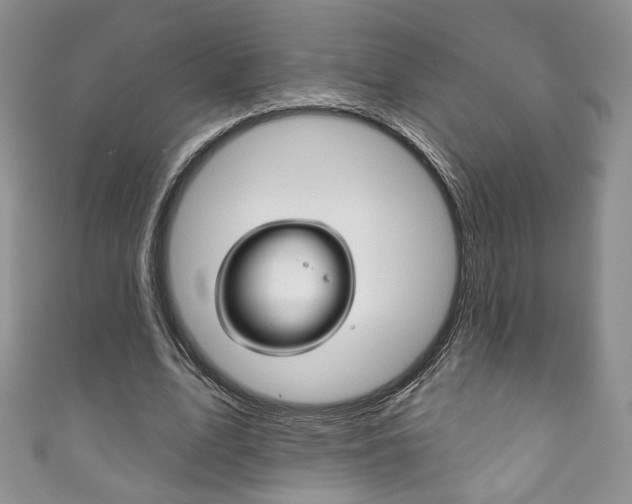 X0000111160583200906301100