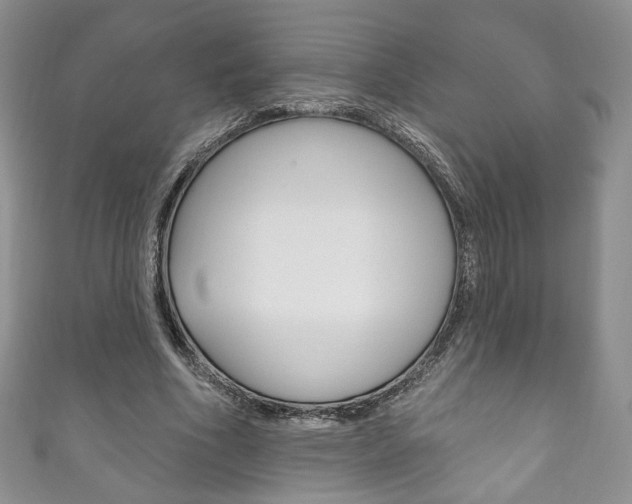 X0000111160586200906301100