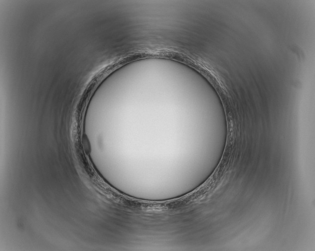 X0000111160587200906301100