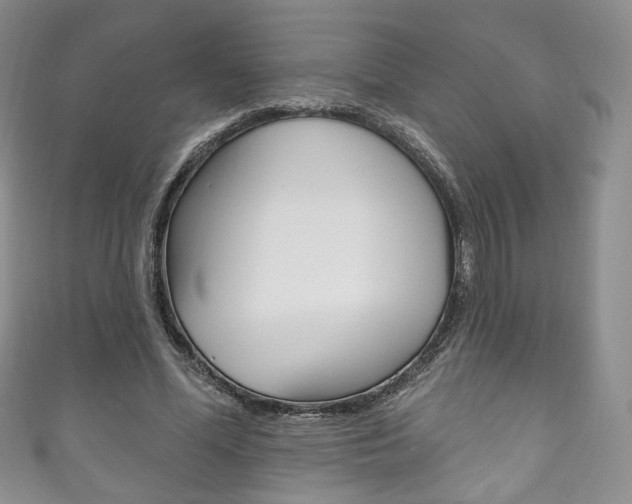 X0000111160588200906301100