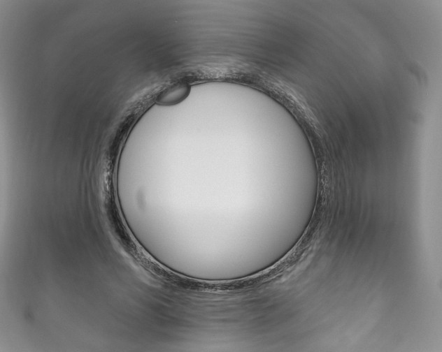 X0000111160590200906301059