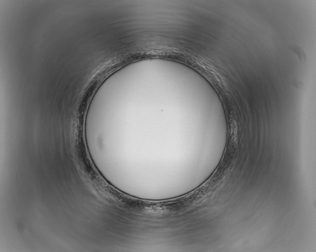 X0000111160591200906301059