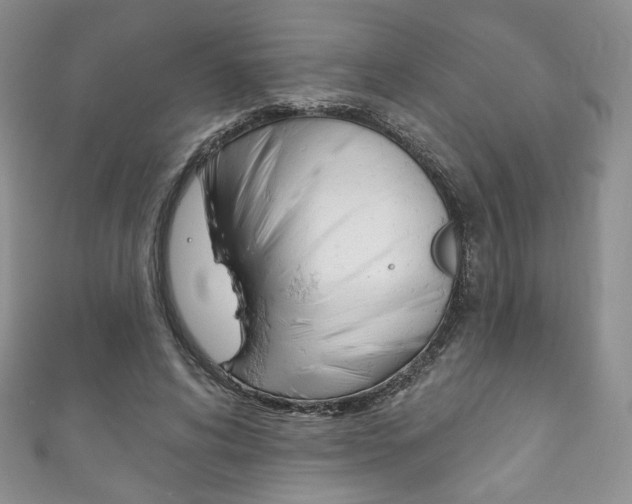 X0000111160592200906301059