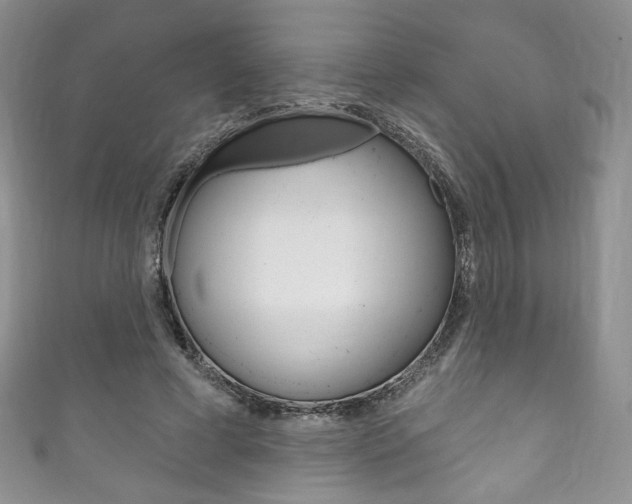 X0000111160593200906301059