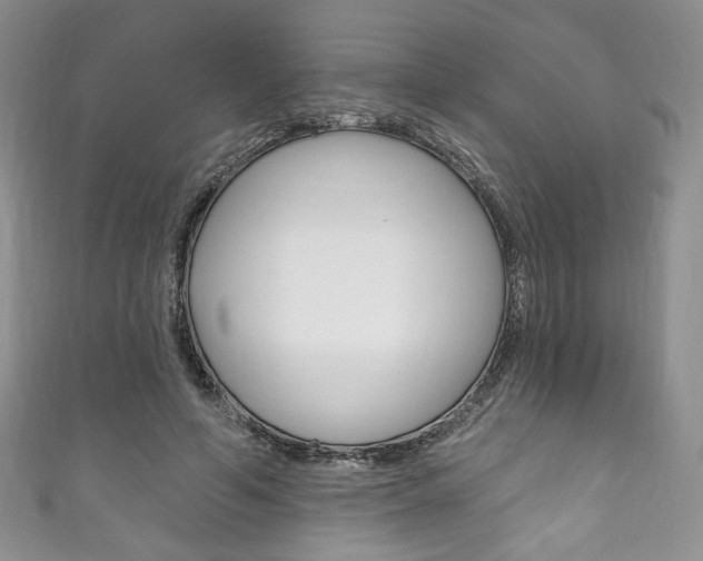 X0000111160594200906301059