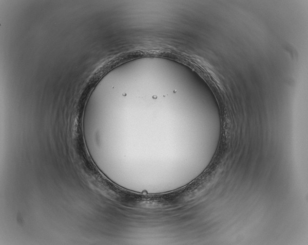 X0000111160596200906301059