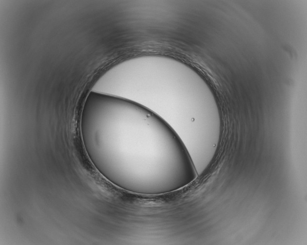 X0000111160597200906301059