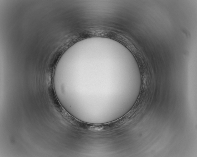 X0000111160602200906301059