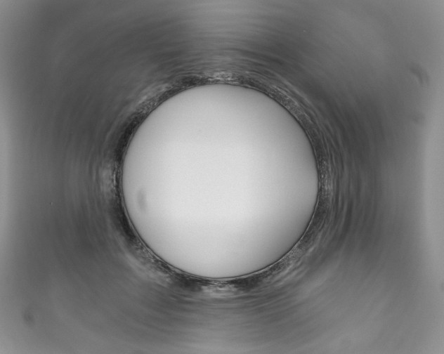X0000111160603200906301059