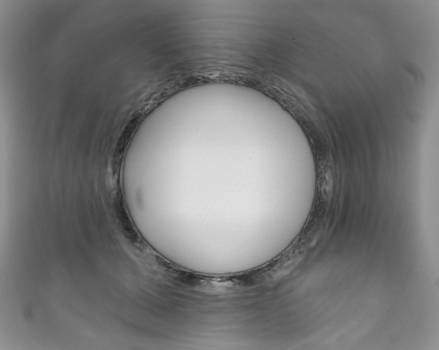X0000111160607200906301059
