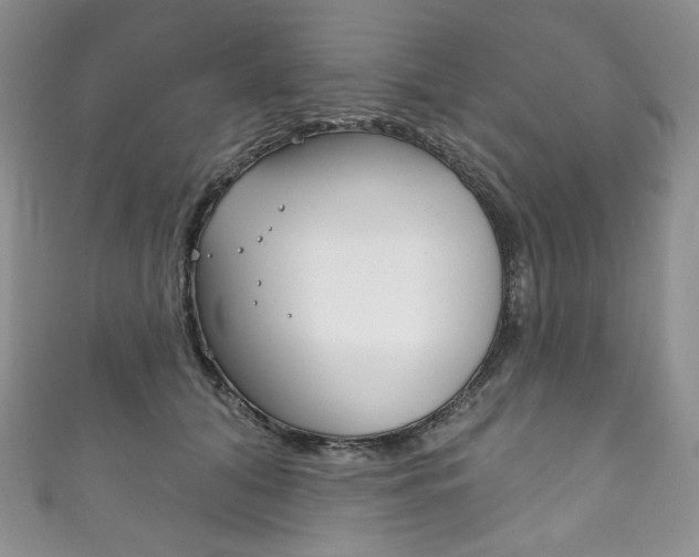 X0000111160608200906301059