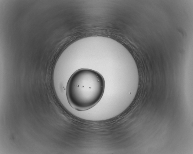 X0000111160611200906301059