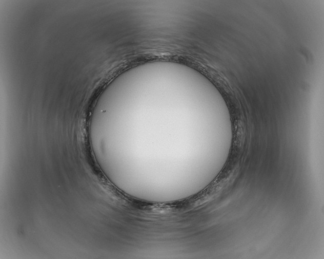 X0000111160612200906301059