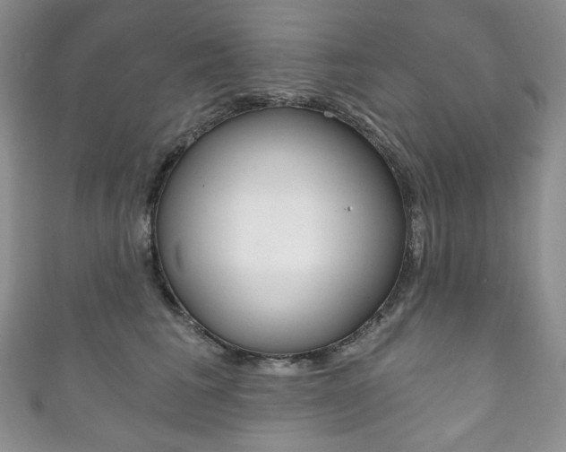 X0000111160613200906301059