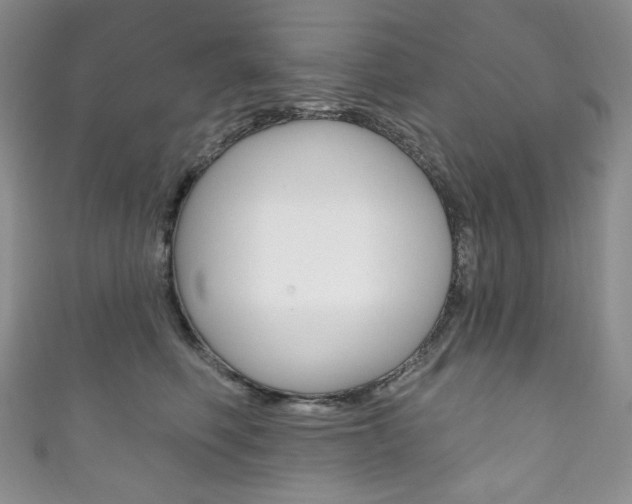 X0000111160614200906301059