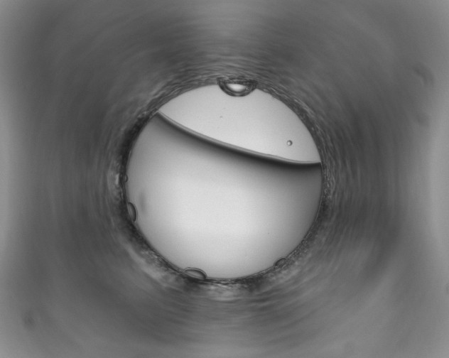 X0000111160615200906301059