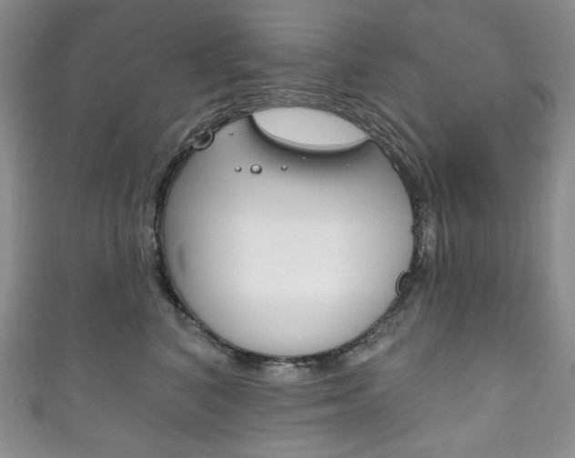 X0000111160616200906301059