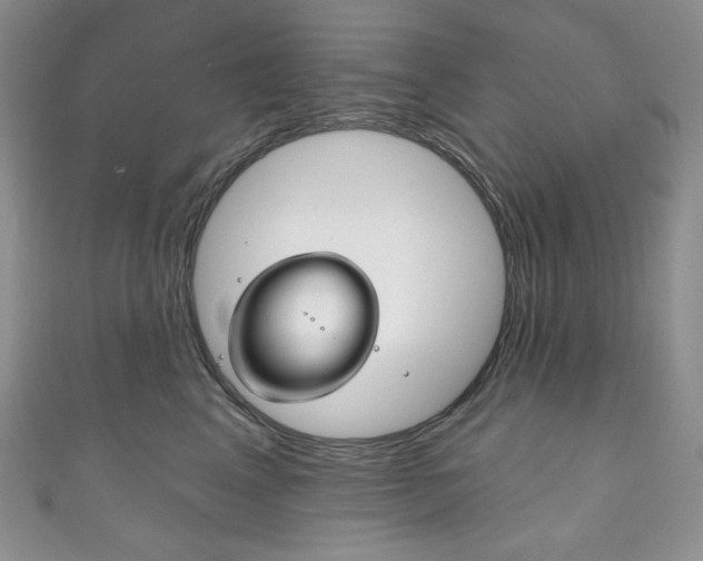 X0000111160617200906301059