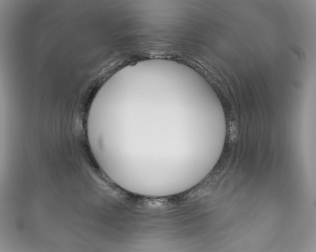 X0000111160618200906301059
